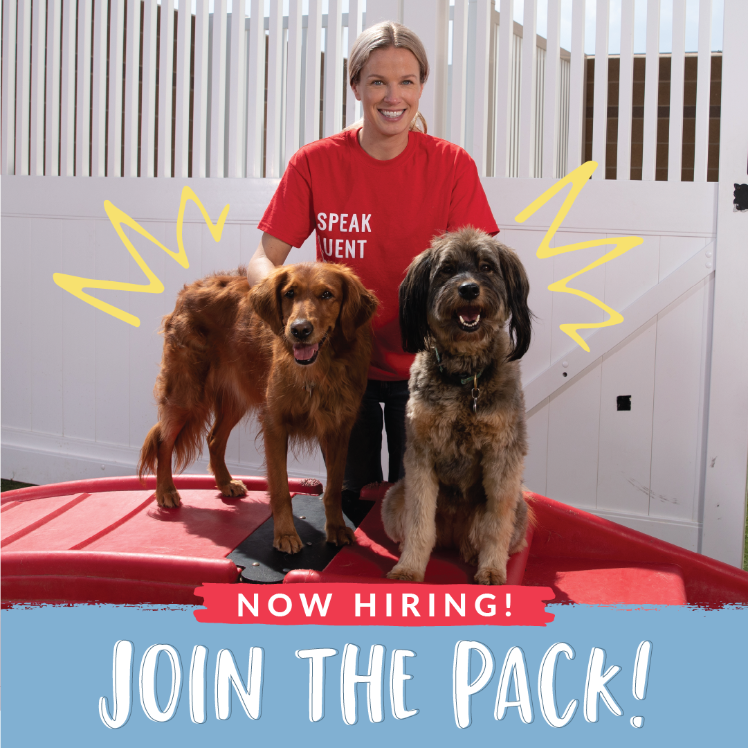 Now Hiring! Join The Pack